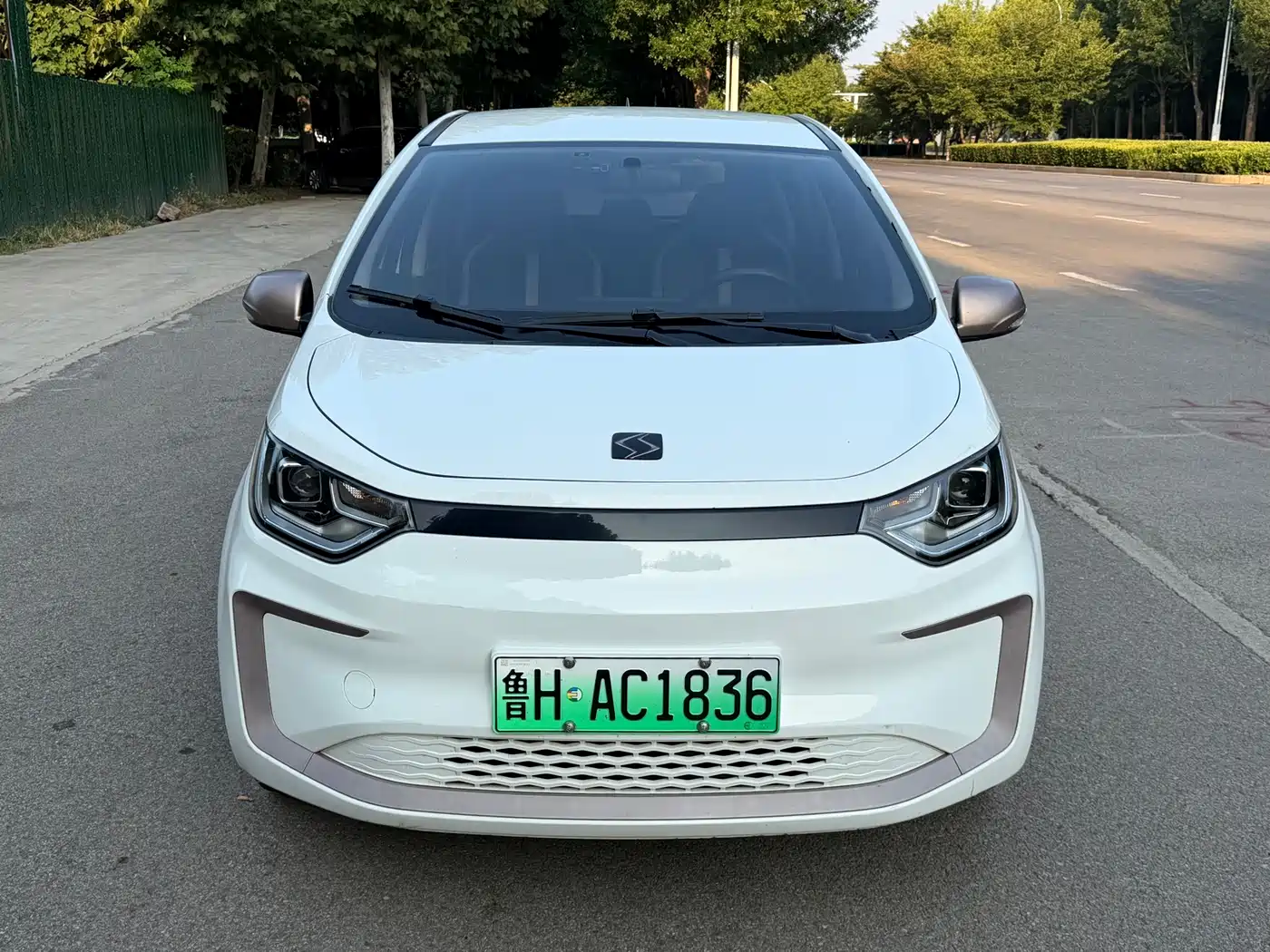 Sehol Flower Fairy 2021 2021 302km Luxury 30.2kWh