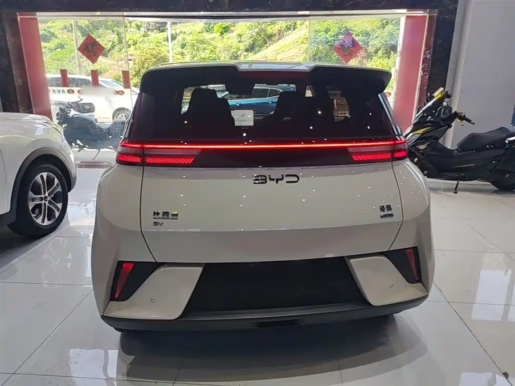 BYD Seagull 2025 Smart Drive Edition 305km Freedom Version фото 4