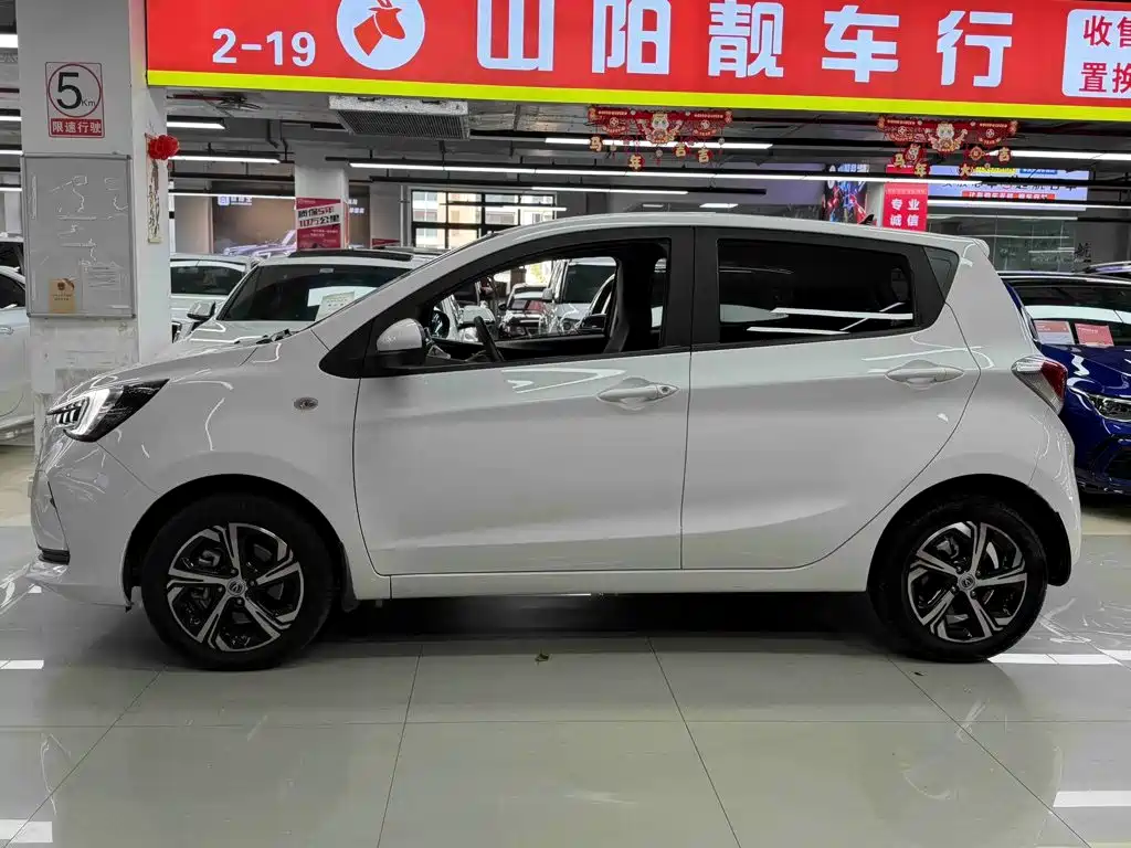 2022 Changan Benben E-Star