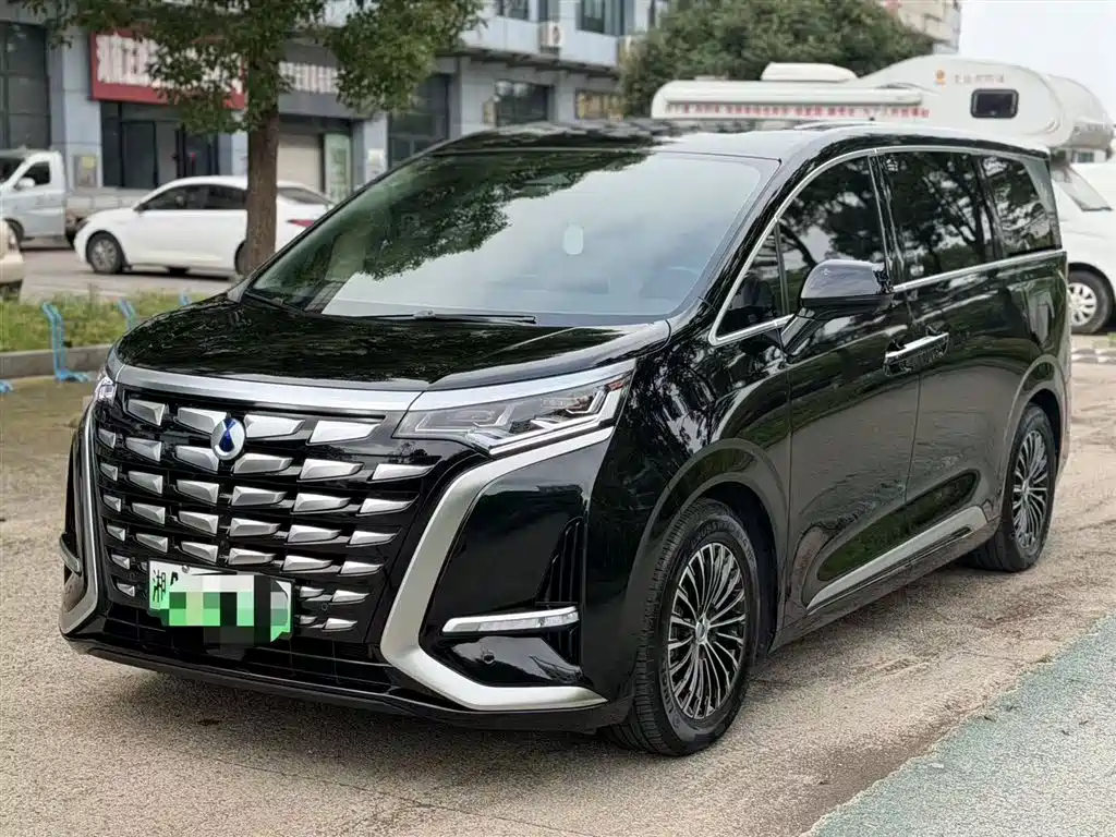 Denza D9 2024 DM-i 1050 Premium фото 2