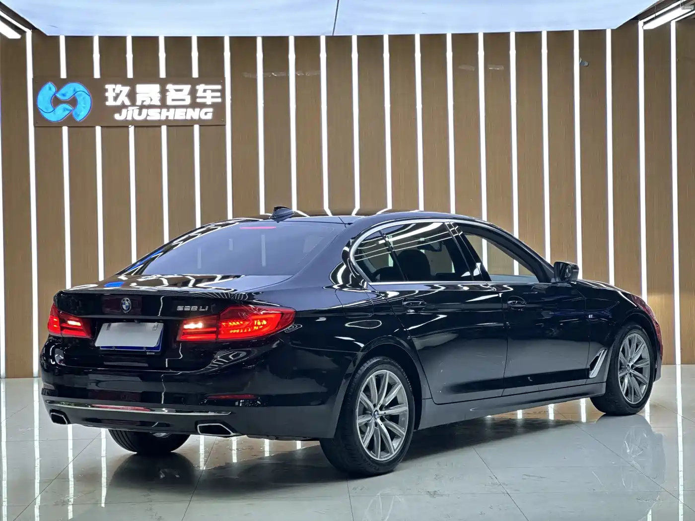 BMW 5 Series 2018 528Li Launch Special Edition фото 6
