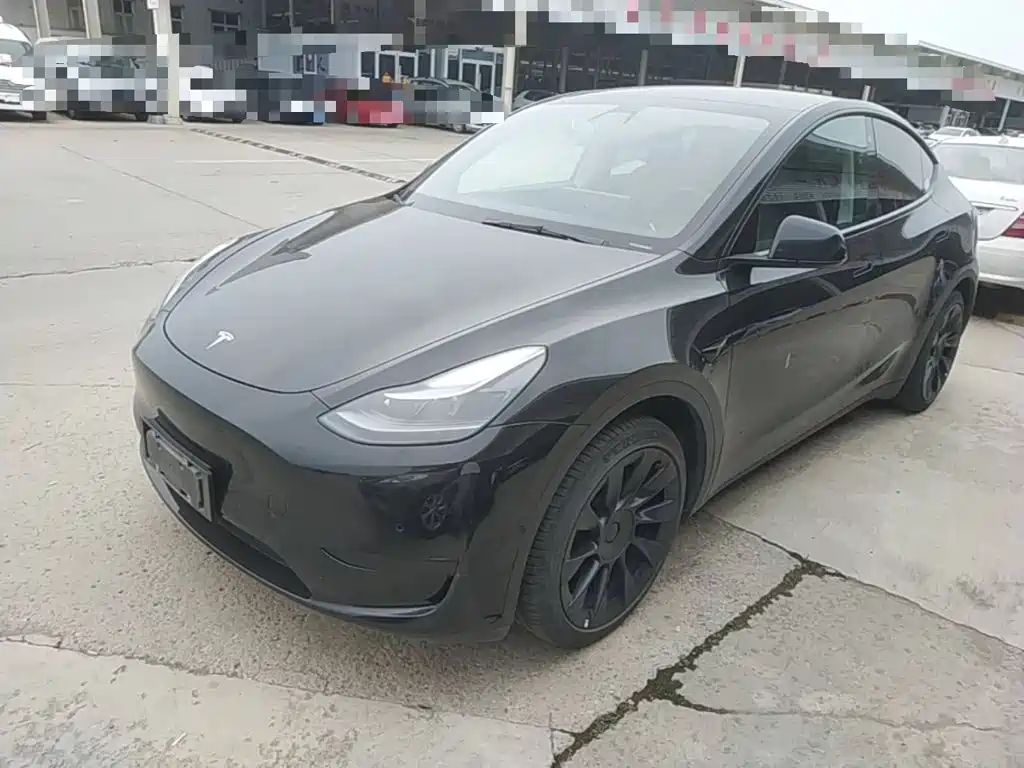 Tesla Model Y 2022 Rear-Wheel Drive Version