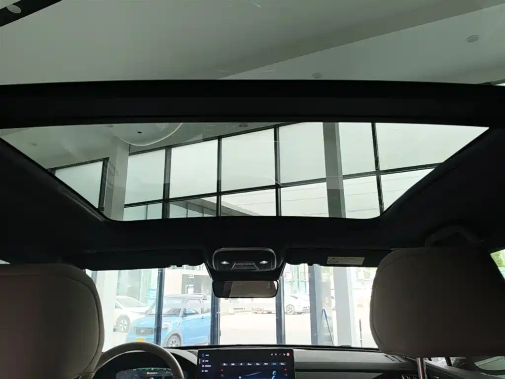BYD Tang New Energy 2024 DM-i Honor Edition 112KM Premium фото 17