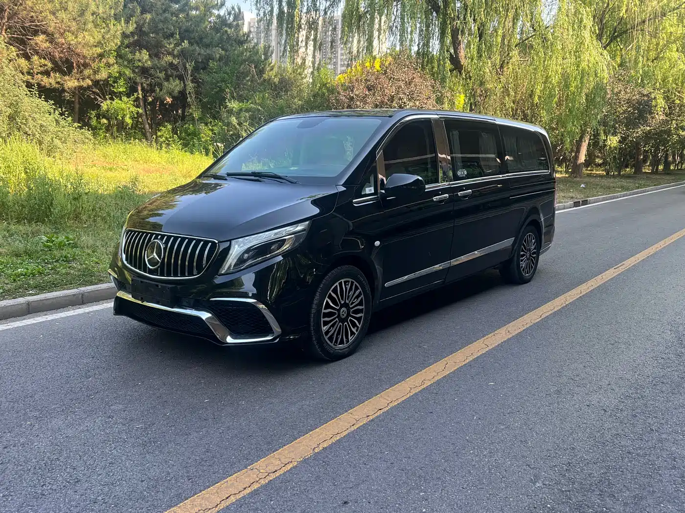 Mercedes-Benz Vito 2018 2.0T Business Edition China VI