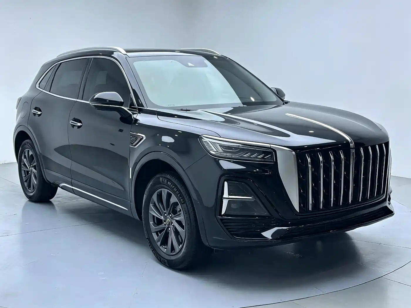 Hongqi HS5 2023 2.0T Flag Enjoy Pro Edition фото 12