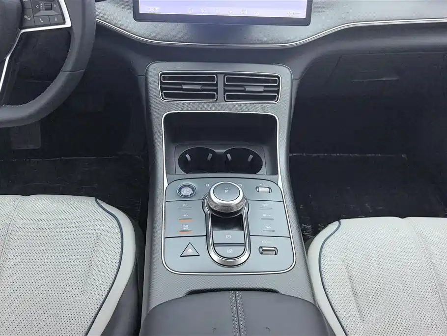 BYD Destroyer 05 2024 Glory Edition DM-i 55KM Luxury фото 16