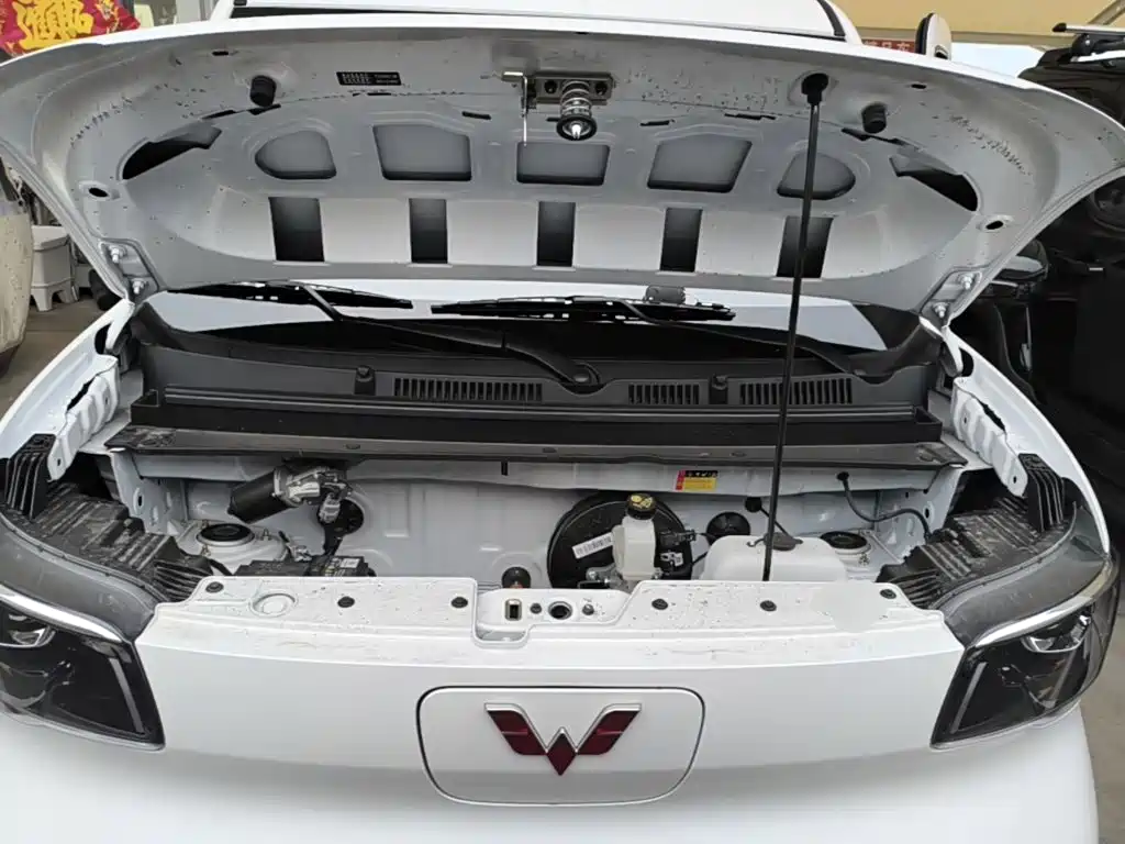 Wuling Motors Wuling Zhiguang NEV 2026 2025 Model 305km Base Version