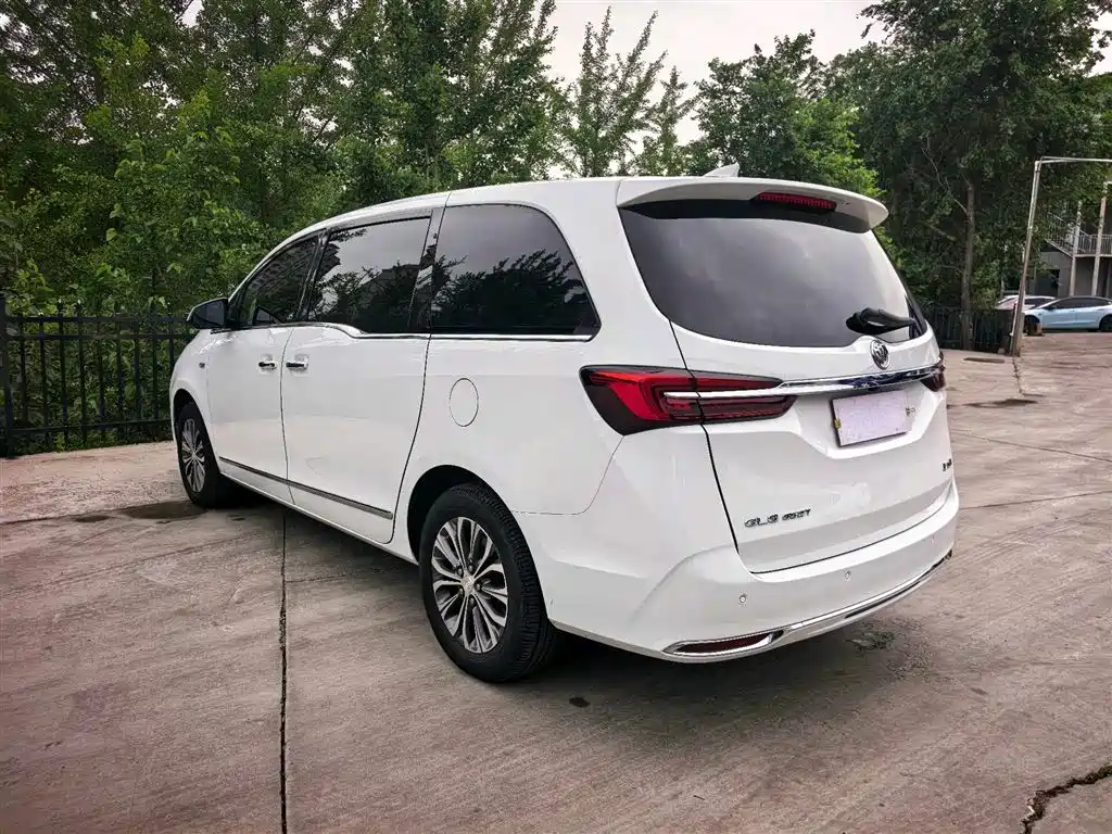 Buick GL8 2020 Model Land Business Class 652T Luxury фото 10