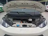 Photo 20 - BYD Seagull