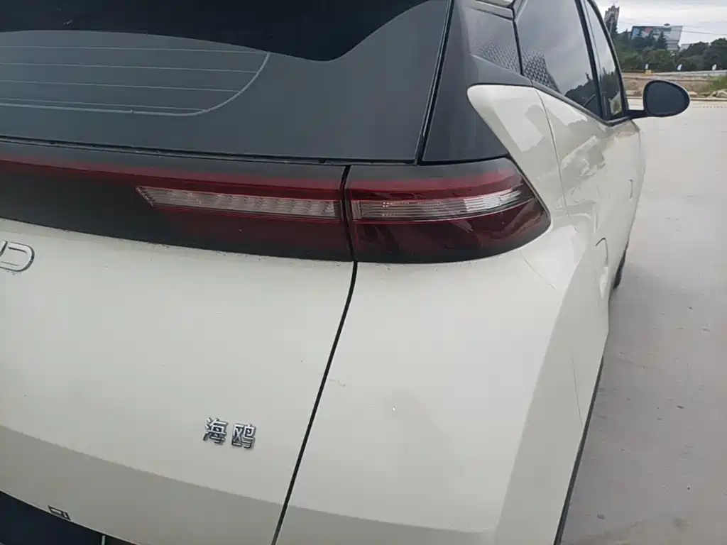 Photo 8 - BYD Seagull