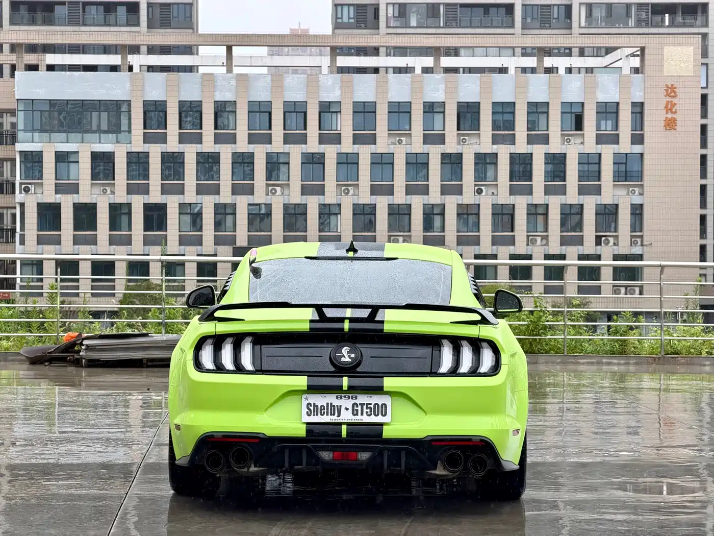صورة 8 - Ford Mustang