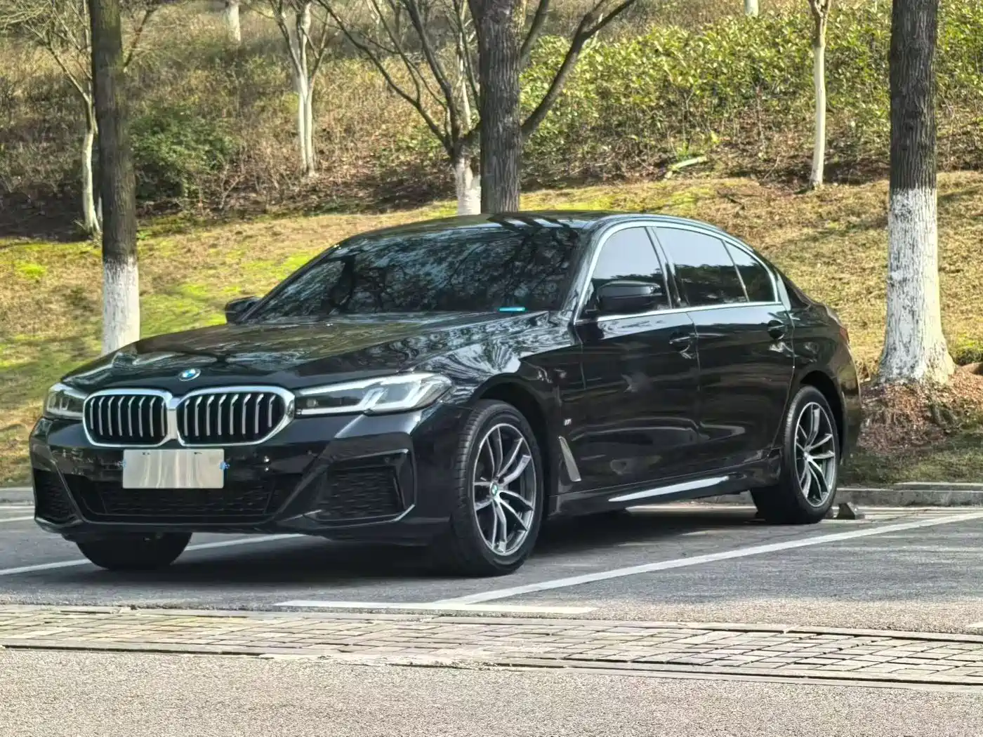 BMW 5 Series 2022 Model Second Facelift 525Li M Sport Package