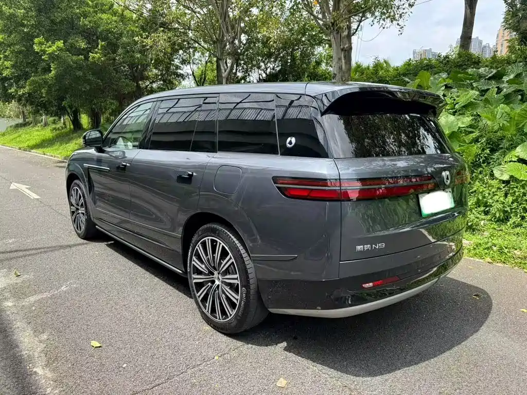 Denza N9 2025 2025 Flagship Model