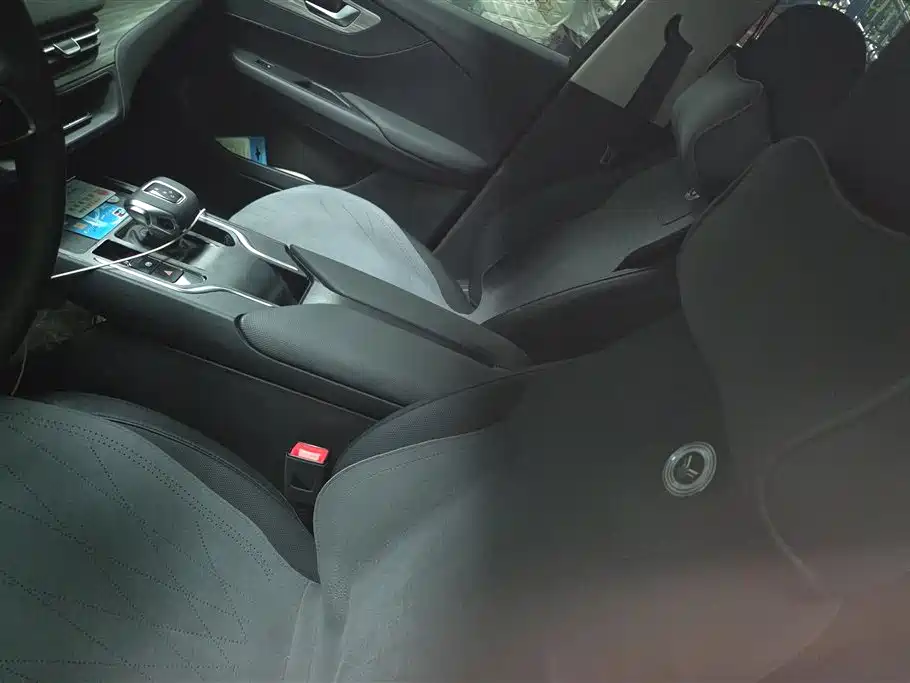 Hongqi E-QM5 2024 Model 610km PLUS фото 12