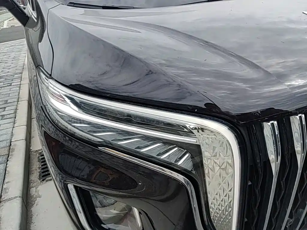 Hongqi HQ9 PHEV 2024 2024 Model 2.0T AWD Business Edition