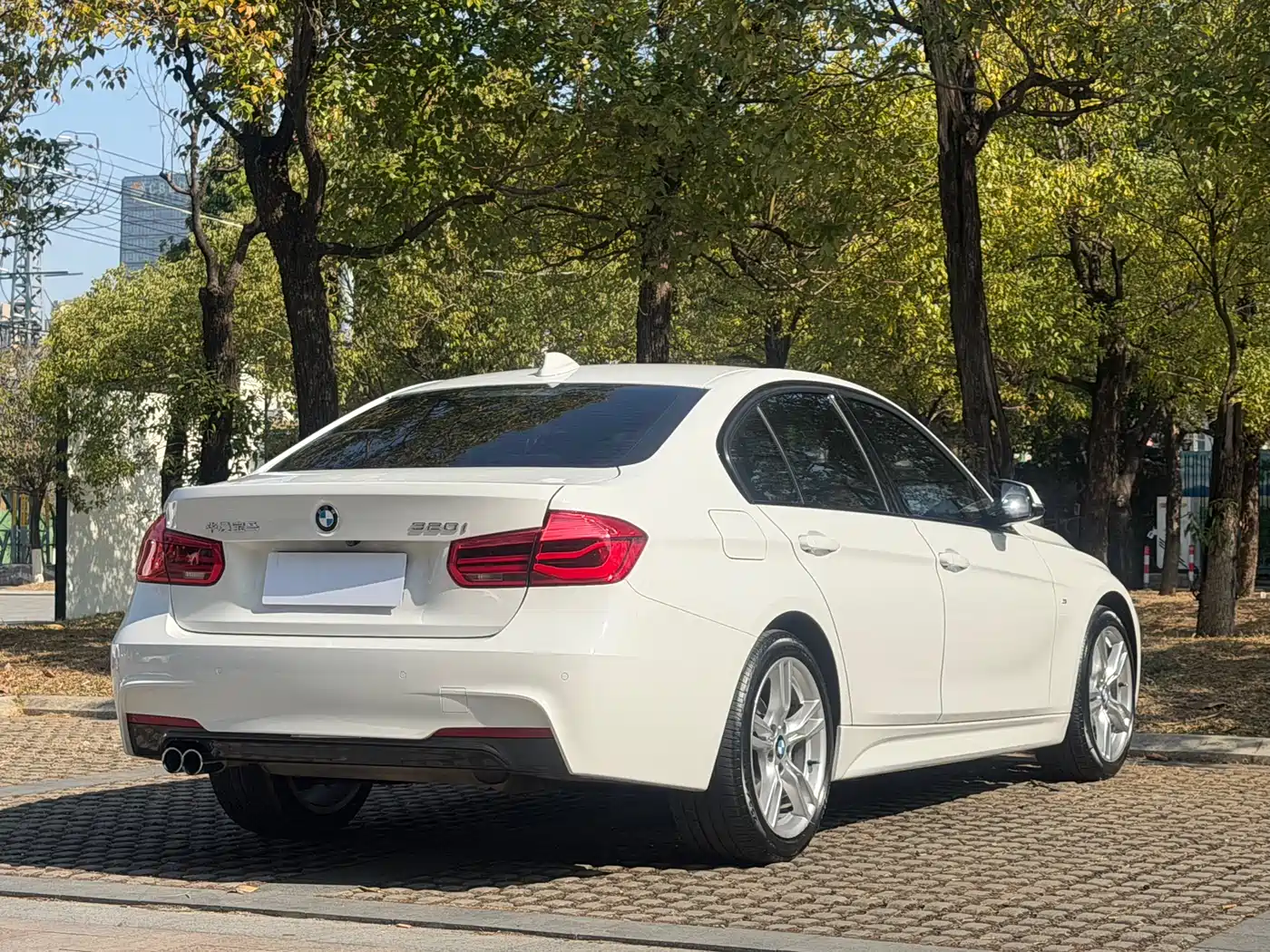 BMW 3 Series 2017 320i M Sport фото 18