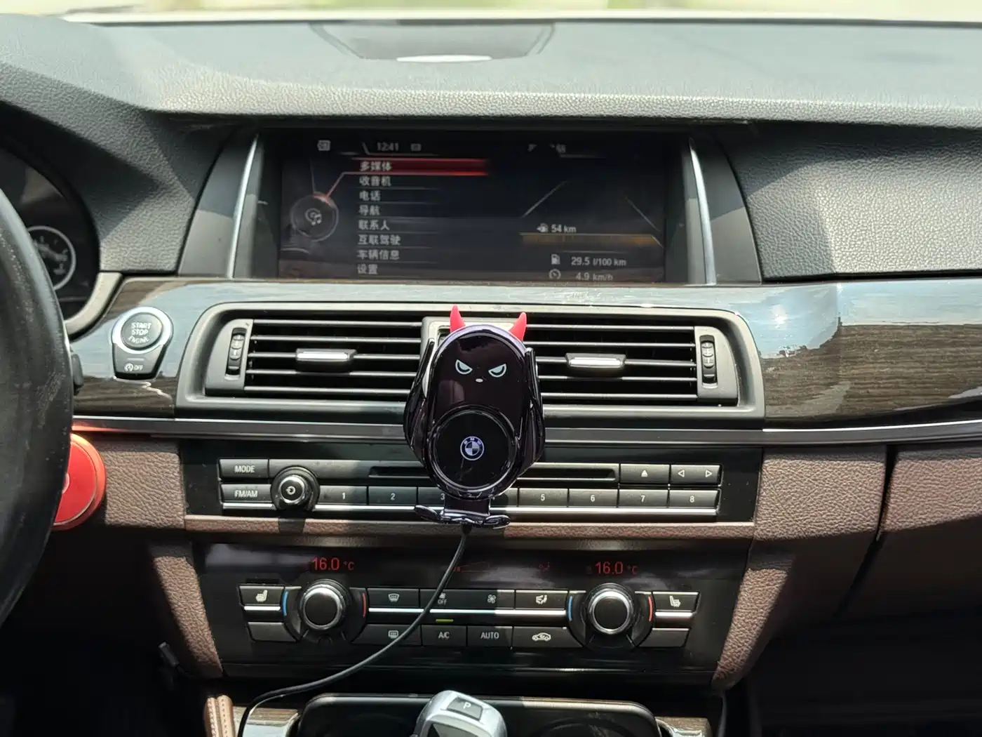 BMW 5 Series 2014 525Li Luxury Design Package фото 14