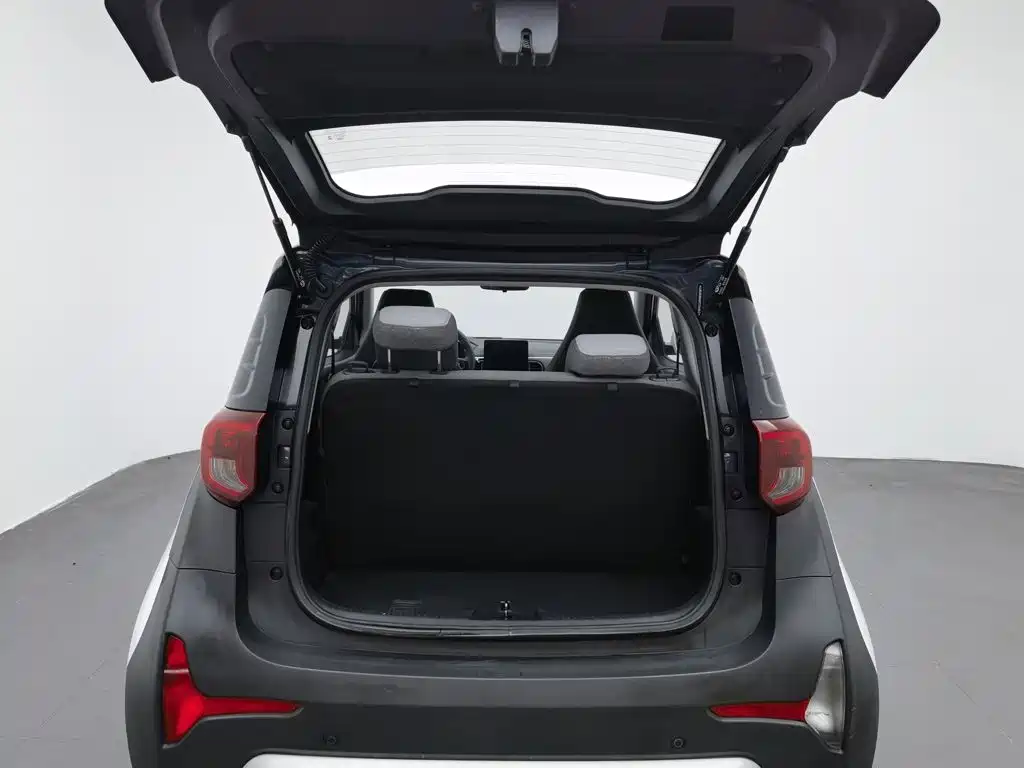 QQ New Energy Little Ant 2024 2024 251km Passion Edition