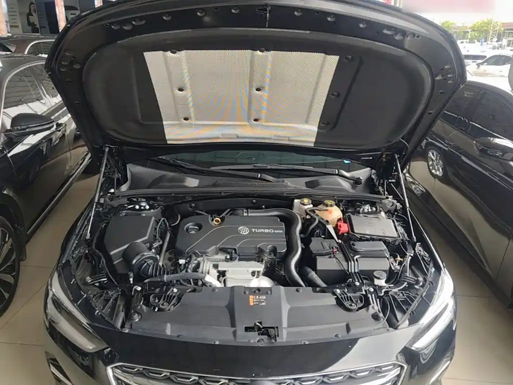 Фото 20 - Buick Regal