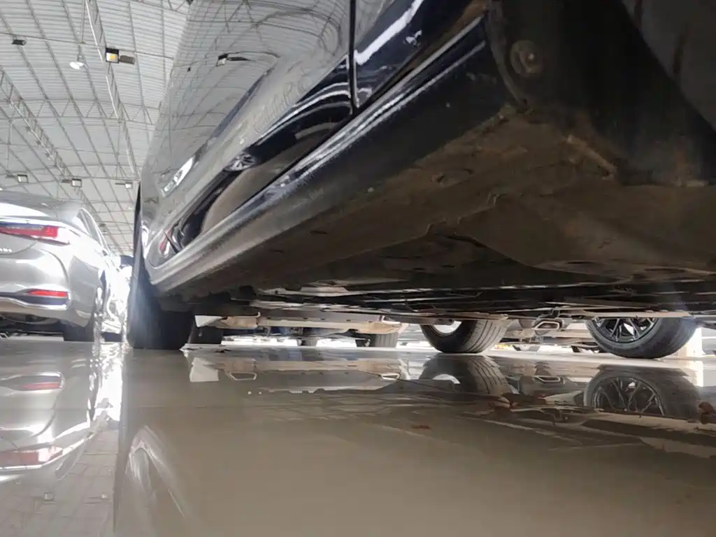 Фото 21 - Buick Regal