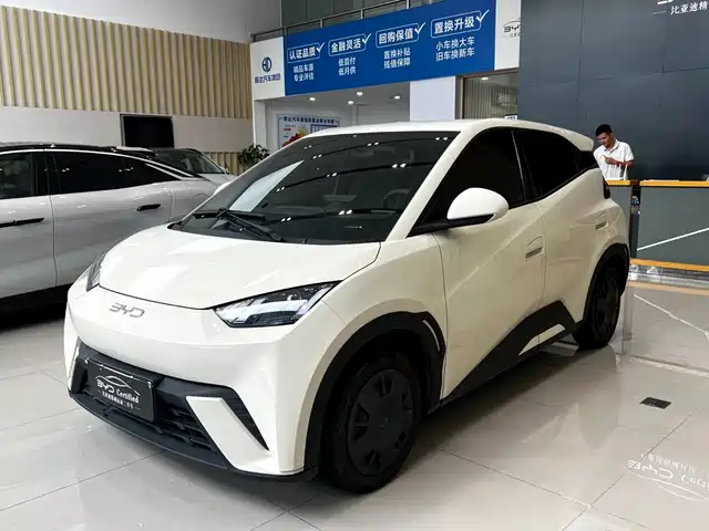 BYD Seagull 2024