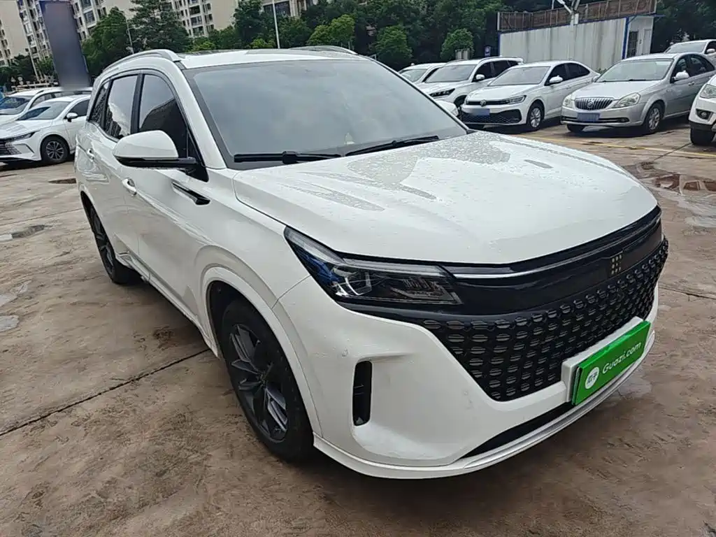 Landian E5 2024 2024 Glory Edition 100KM Premium Type 7-Seater