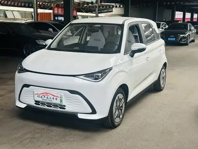  QQ New Energy Duomi 2025 305km Comfort Edition