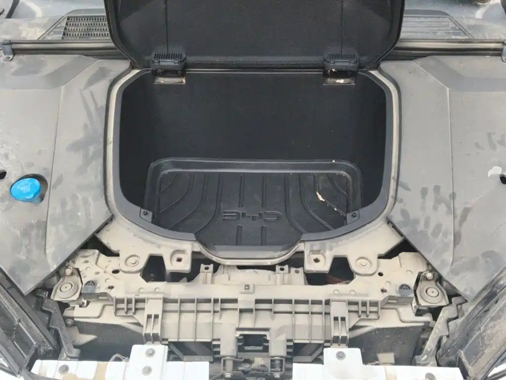 BYD Seal 2024 2023 Champion Edition 550km Elite