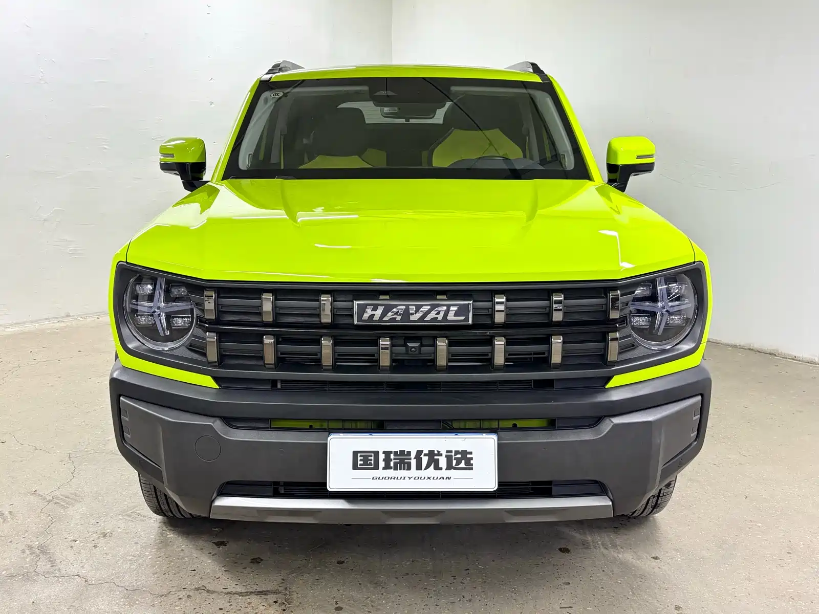 Фото 2 - Haval Cool Dog