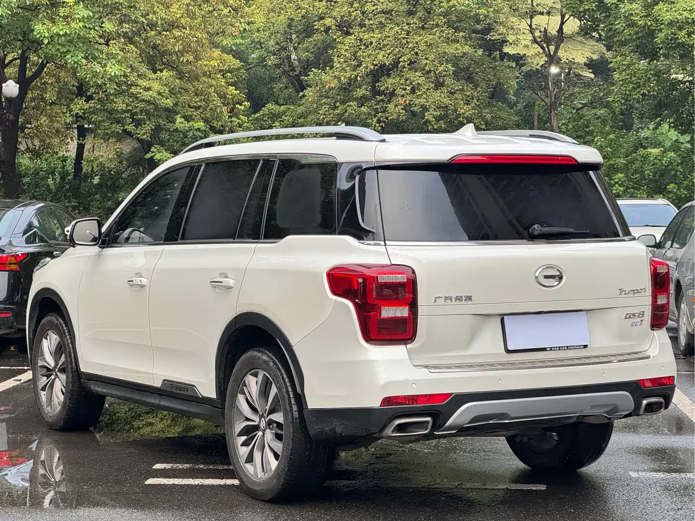 GAC Trumpchi Trumpchi GS8 2019 390T 2WD Luxury Smart Connect Edition (7-seater) фото 13