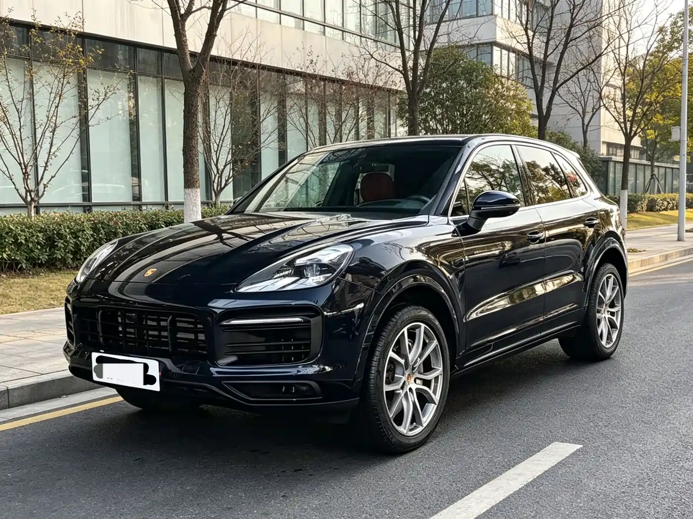 Porsche Cayenne 2023 Cayenne 3.0T Platinum Edition
