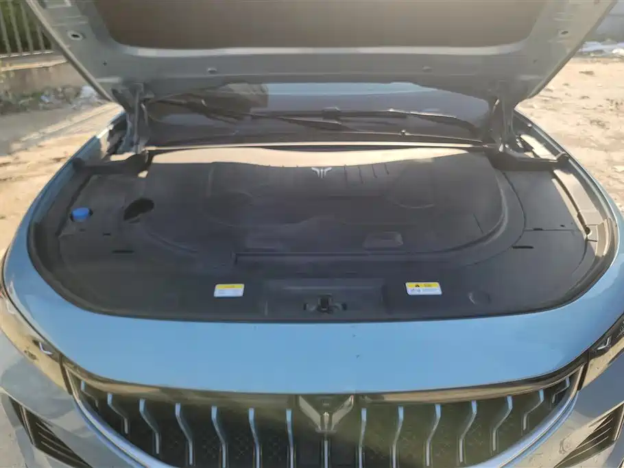 Voyah Auto VOYAH FREE 2021 4WD Extended Range Launch Edition Exclusive Luxury Package фото 10