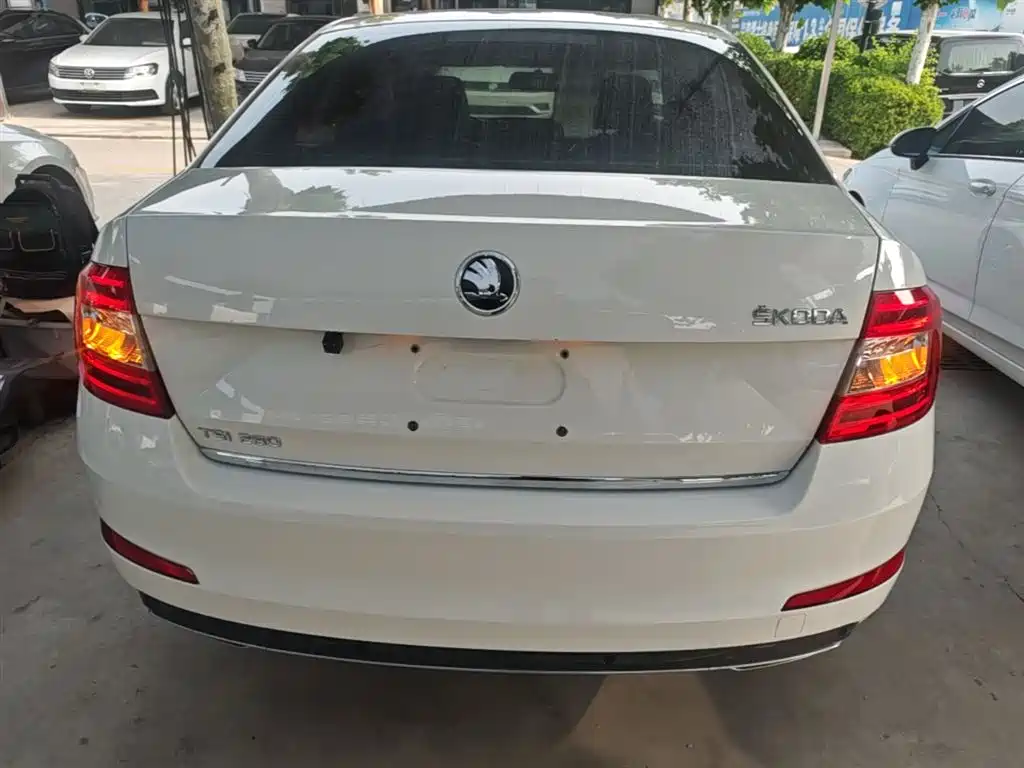 Škoda Octavia 2017 TSI280 DSG ZhiXing фото 6