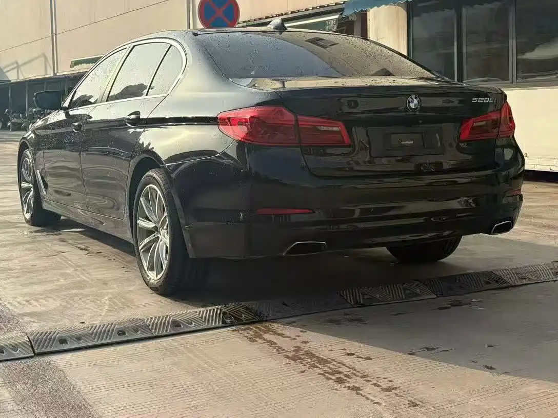 BMW 5 Series 2018 528Li Launch Special Edition фото 7