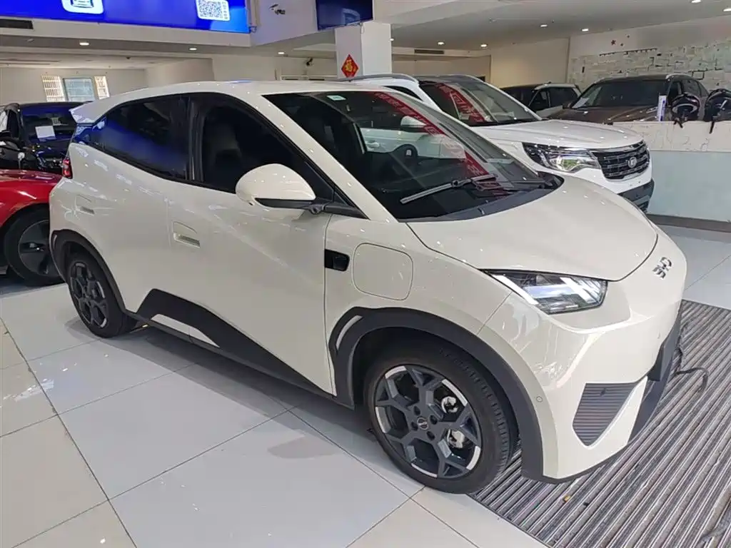 BYD Seagull 2025 Smart Drive Edition 305km Freedom Version фото 22