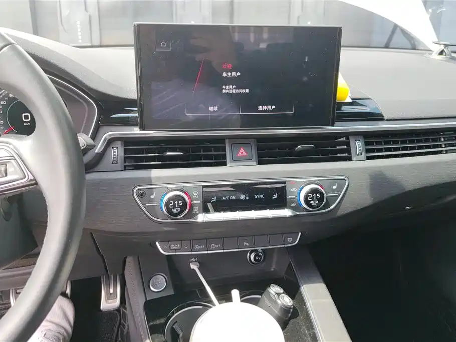 Audi A4L 2023 40 TFSI Luxury Sport фото 13