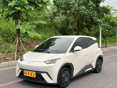 BYD Seagull