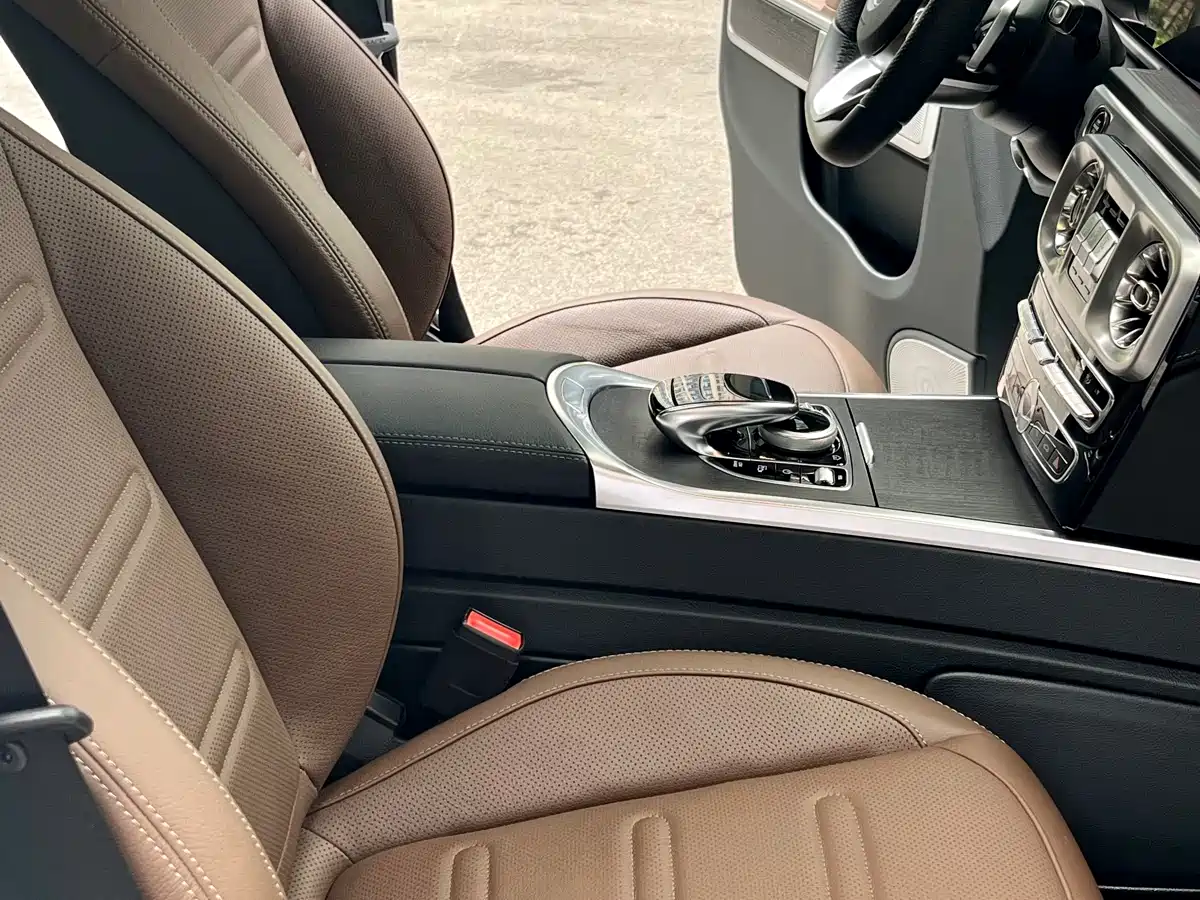 Mercedes-Benz G-Class 2020 G 350 фото 16