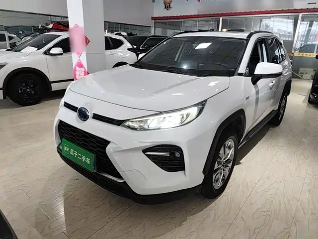 Toyota Wildlander 2021