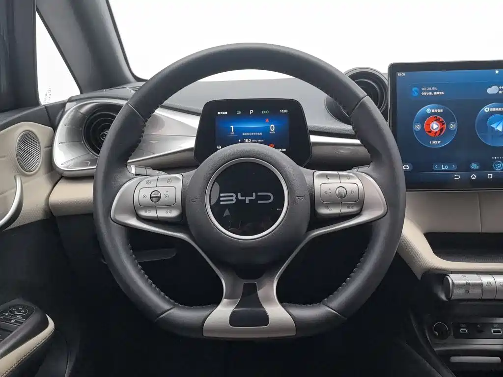 BYD Dolphin 2026 2025 420km Freedom Edition