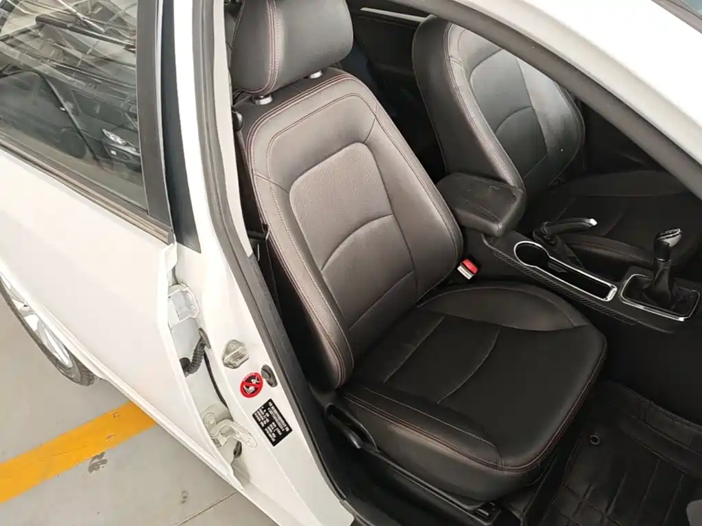 Фото 25 - Geely Vision