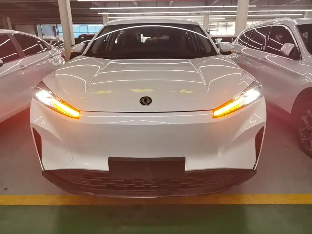 Dongfeng Aeolus SKY EV01 2024 2024 445km PRO