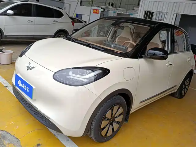 WULING WULING BINGGUO