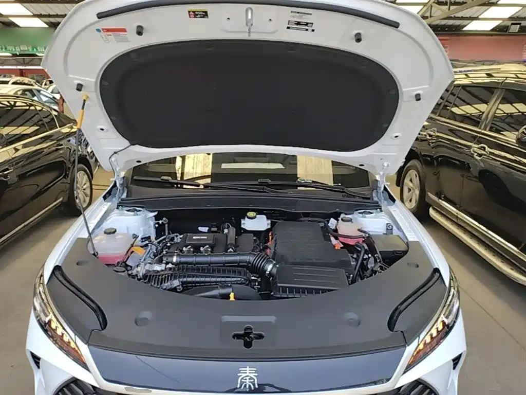 BYD Qin PLUS 2025 DM-i Smart Drive 55KM Leader фото 20
