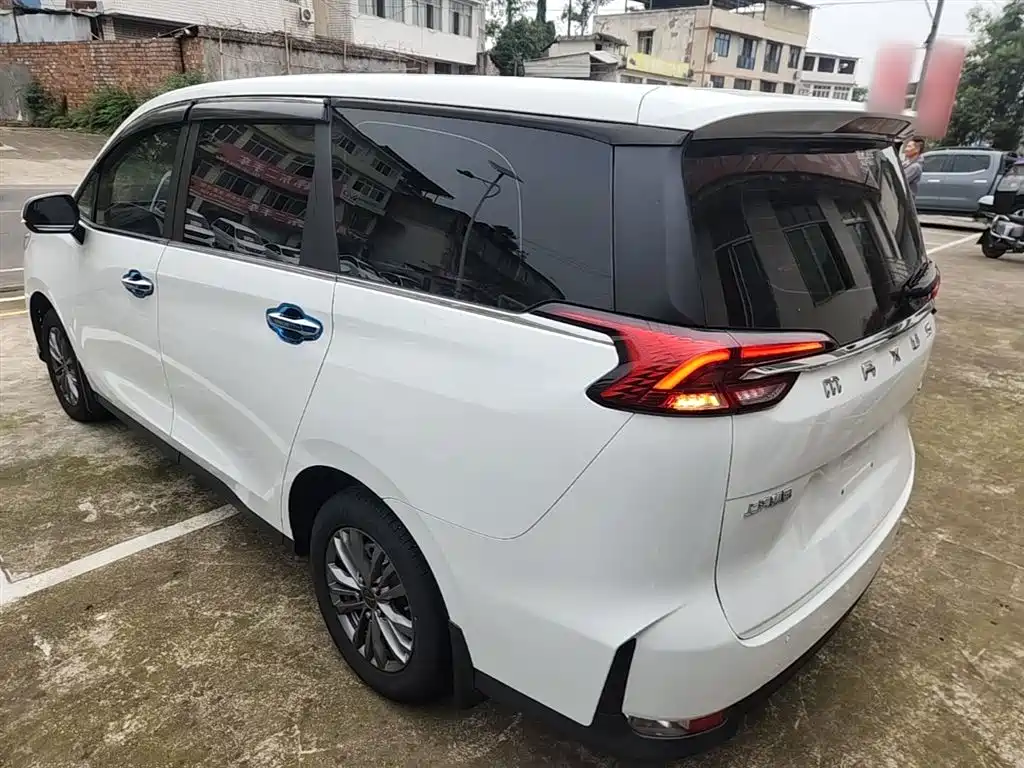 Фото 5 - Maxus Maxus G50