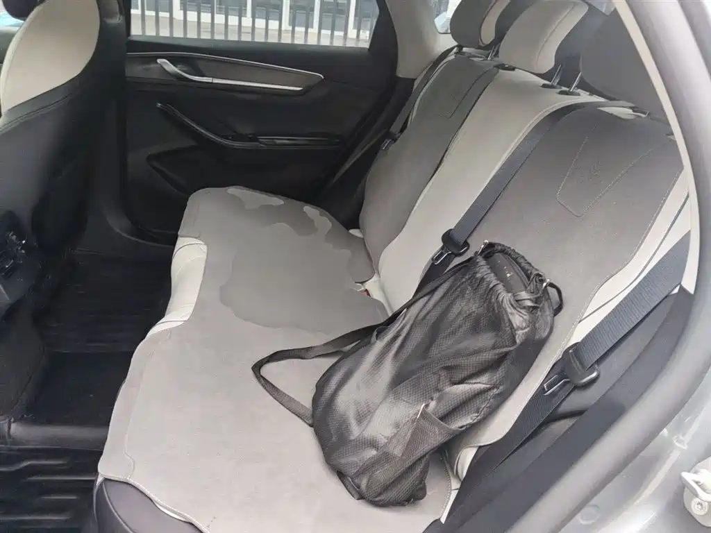 BYD Destroyer 05 2023 Champion Edition DM-i 55KM Luxury фото 14