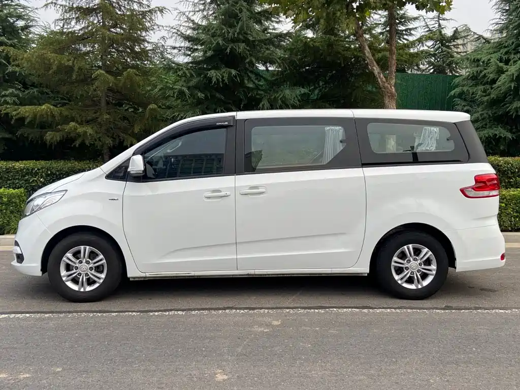 Фото 16 - SAIC Maxus Maxus G10