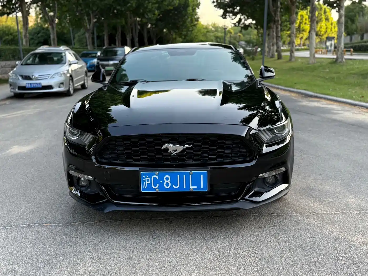 Ford Mustang 2016 2016 2.3T Sport Edition