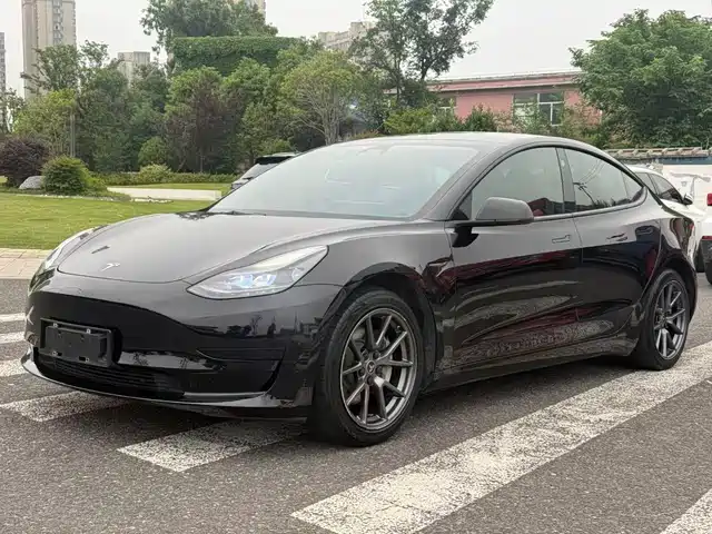 Tesla Model 3 2021 Standard Range Rear-Wheel Drive Upgrade