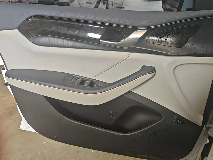 BYD Qin PLUS 2023 Champion Edition DM-i 55KM Leading фото 7
